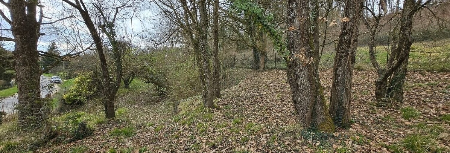 Terrain  624 m² à vendre à Seigy (41110)