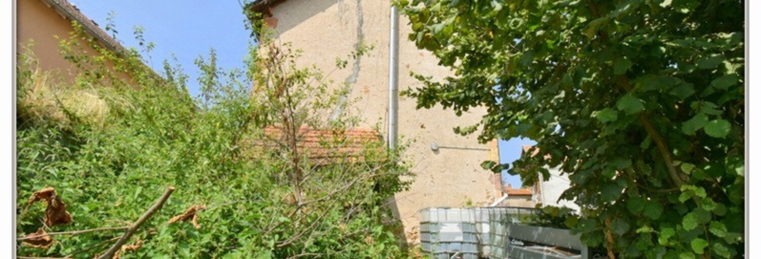 Maison 9 Pièces 352 m² à vendre à Vesdun (18360)