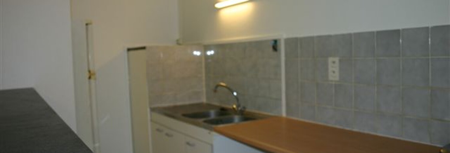 Appartement 1 Pièce 45 m² à louer à Lyon 4 (69004)