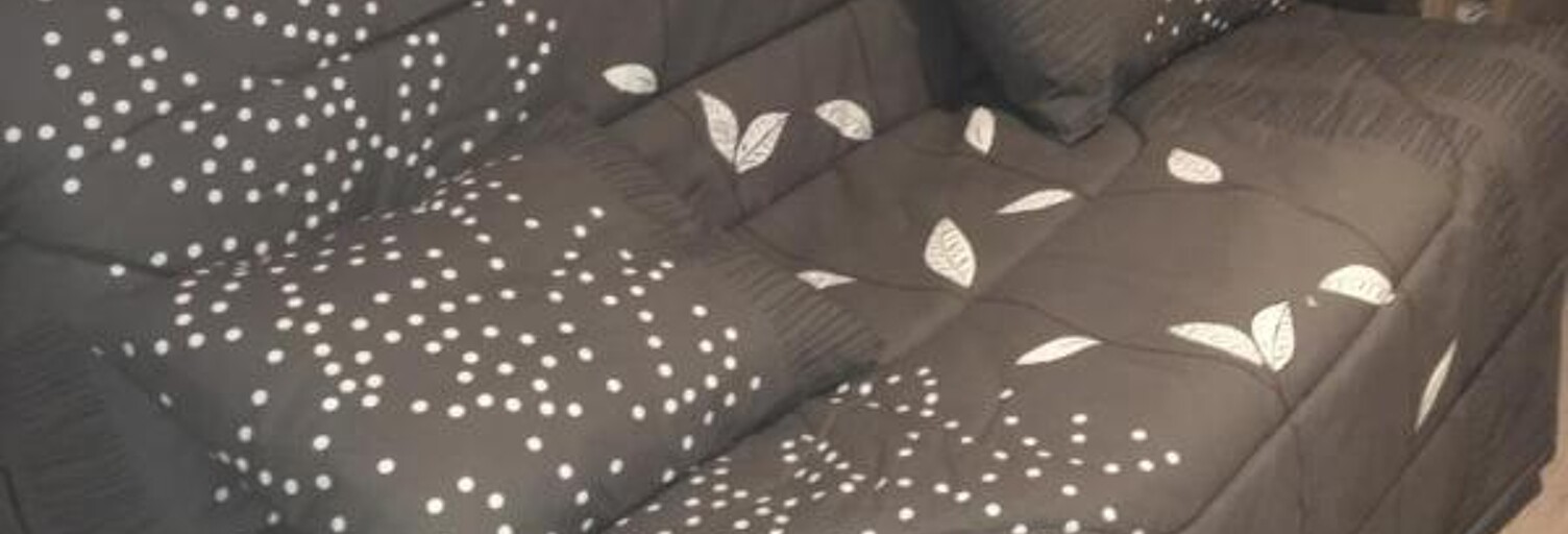 Appartement 1 Pièce 20 m² à louer à Orléans (45000)