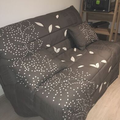 Appartement 1 pièces 550 €