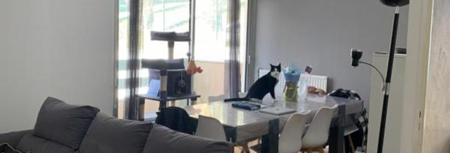 Appartement 2 Pièces 54 m² à louer à Le Mans (72000)