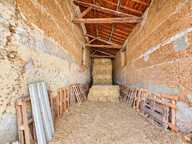 Ensemble immobilier - 3 logements + granges - Montfavet — photo 3