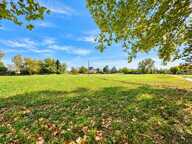 Ensemble immobilier - 3 logements + granges - Montfavet — photo 4