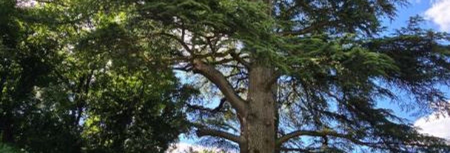 Terrain  2372 m² à vendre à Biard (86580)