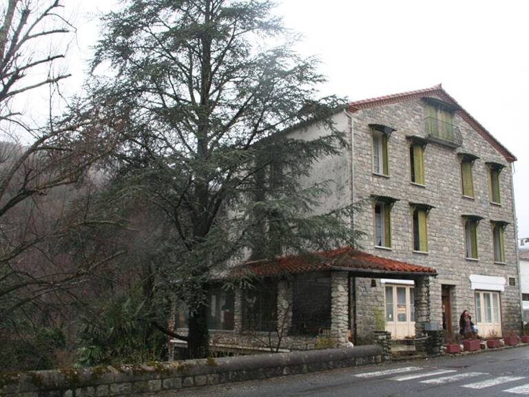 Maison de caractère - Ancien Hotel - Fort potentiel commercial à Prats De Mollo La Preste — photo 1
