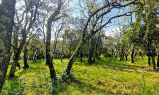 Terrain  1771 m² à vendre à Saint-Siffret (30700)