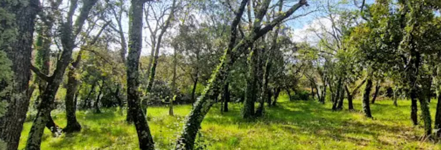 Terrain  1771 m² à vendre à Saint-Siffret (30700)