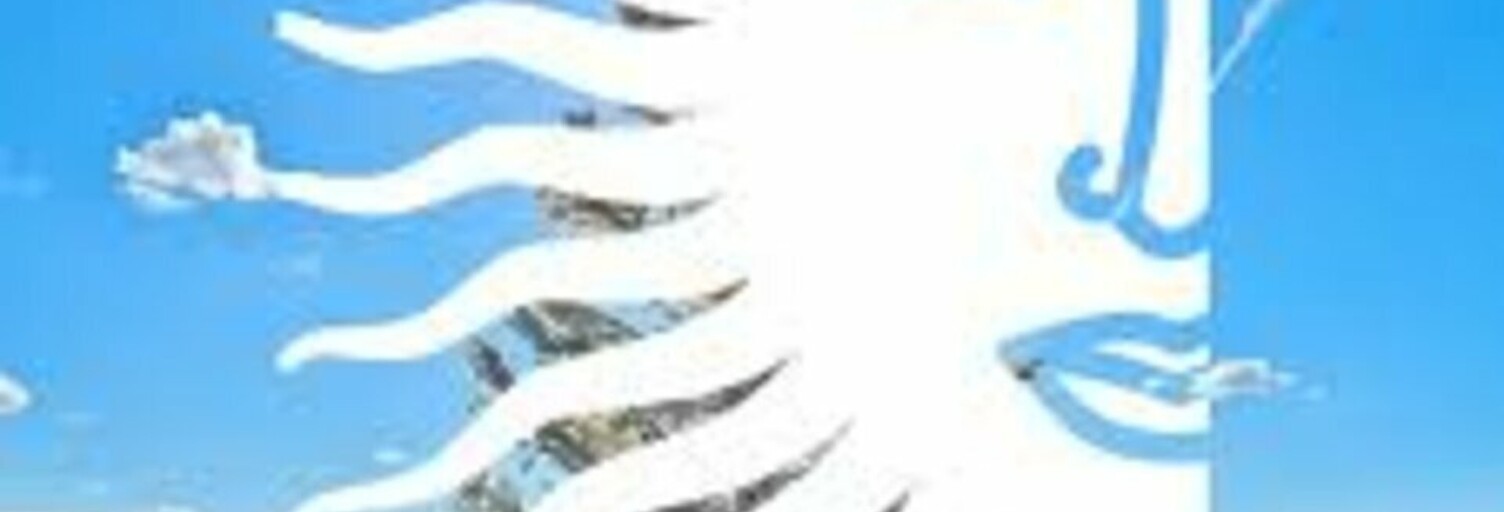 Bureau  200 m² à louer à Anglet (64600)