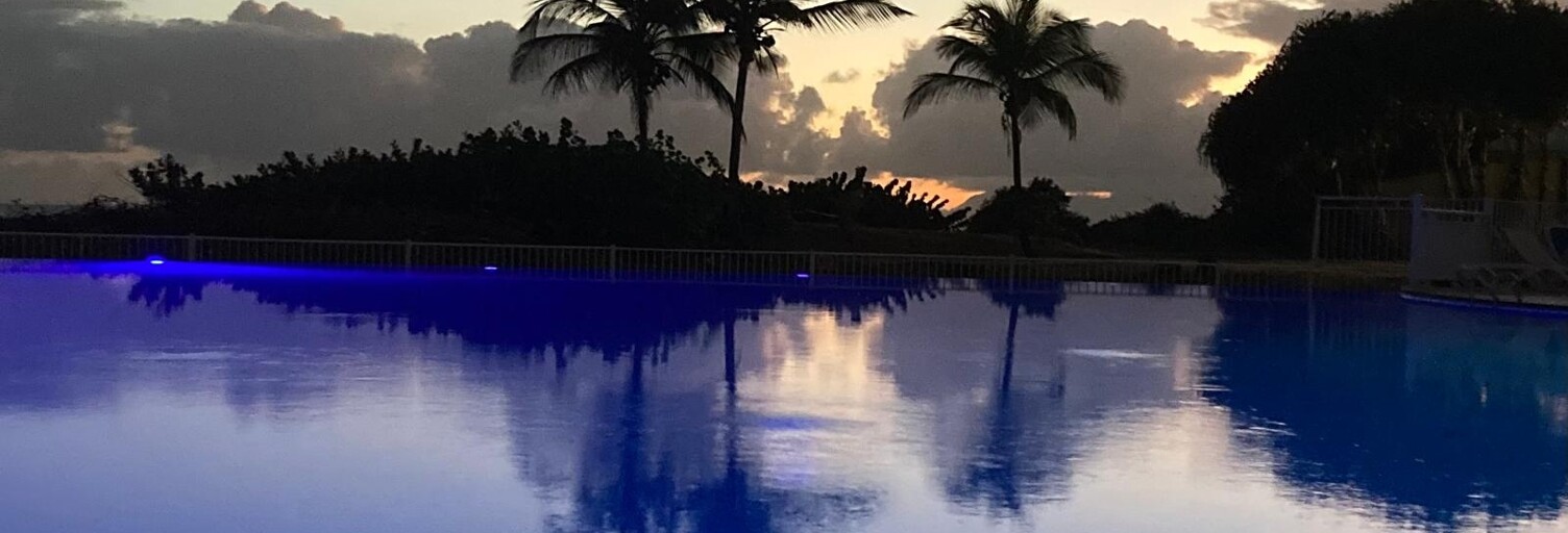 Appartement 1 Pièce 29 m² à vendre à Saint-François (97118)