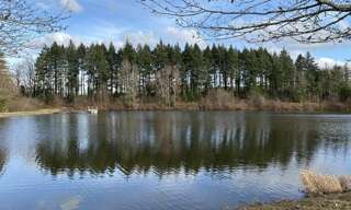 Commerce  43125 m² à vendre à Crevant (36140)