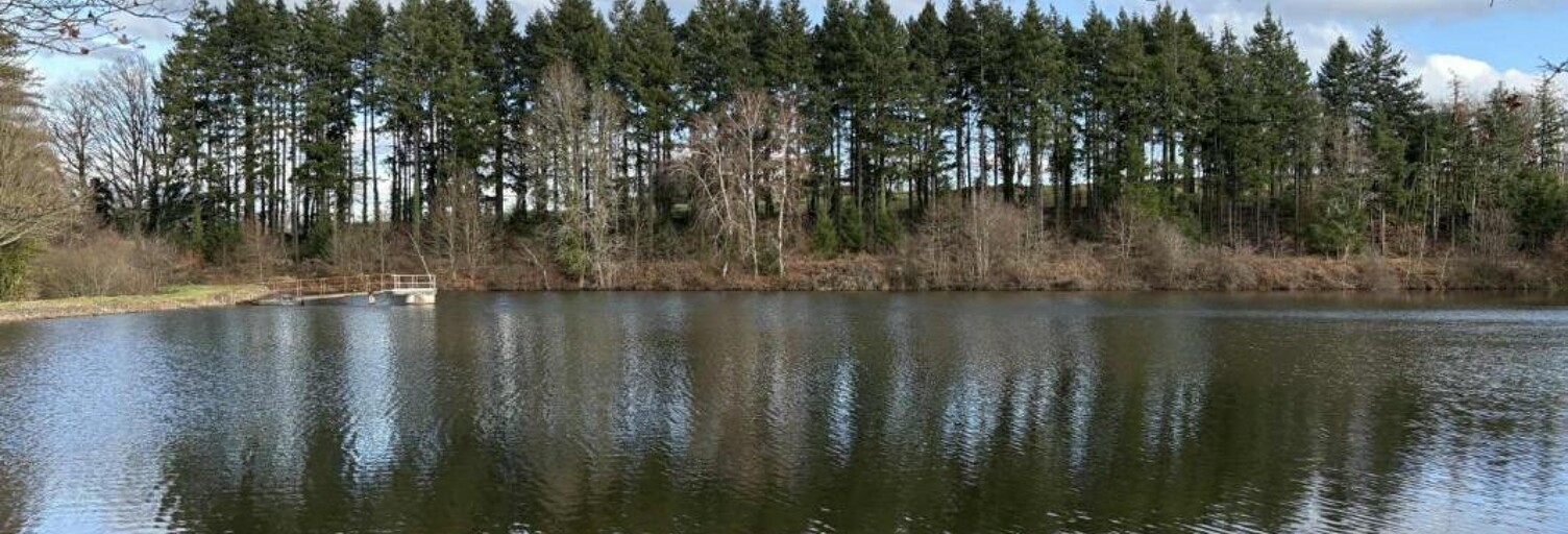 Commerce  43125 m² à vendre à Crevant (36140)