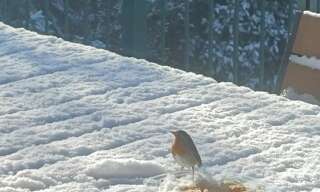 Maison 7 Pièces 133 m² à vendre à Lambres-lez-Douai (59552)