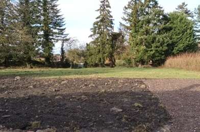 Terrain  89000 €