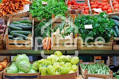 Commerce 1 pièces 1980 €