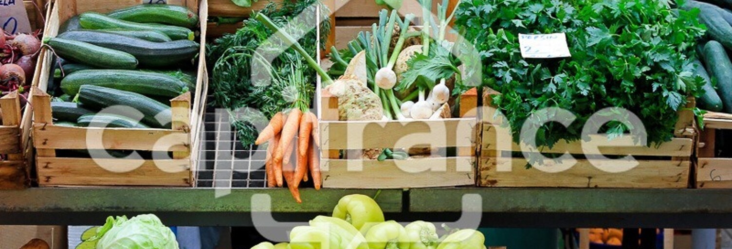 Commerce 1 Pièce 71 m² à louer à Éguilles (13510)