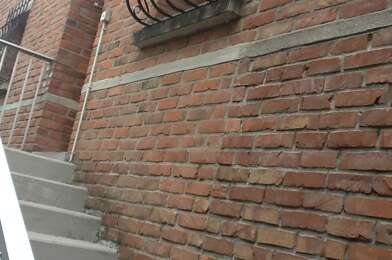 Appartement 1 pièces 450 €