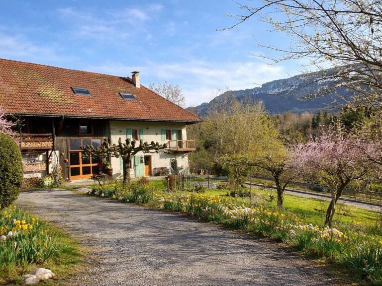Maison À Vendre — photo 1