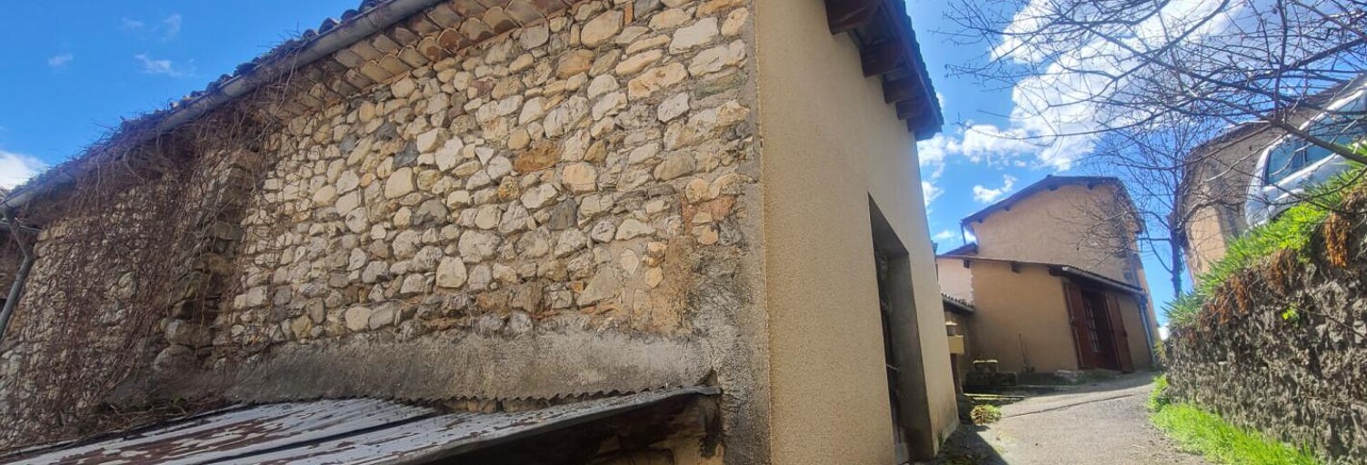 Maison 2 Pièces 100 m² à vendre à La Motte-du-Caire (04250)