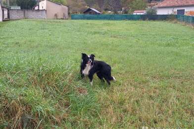 Terrain  99900 €