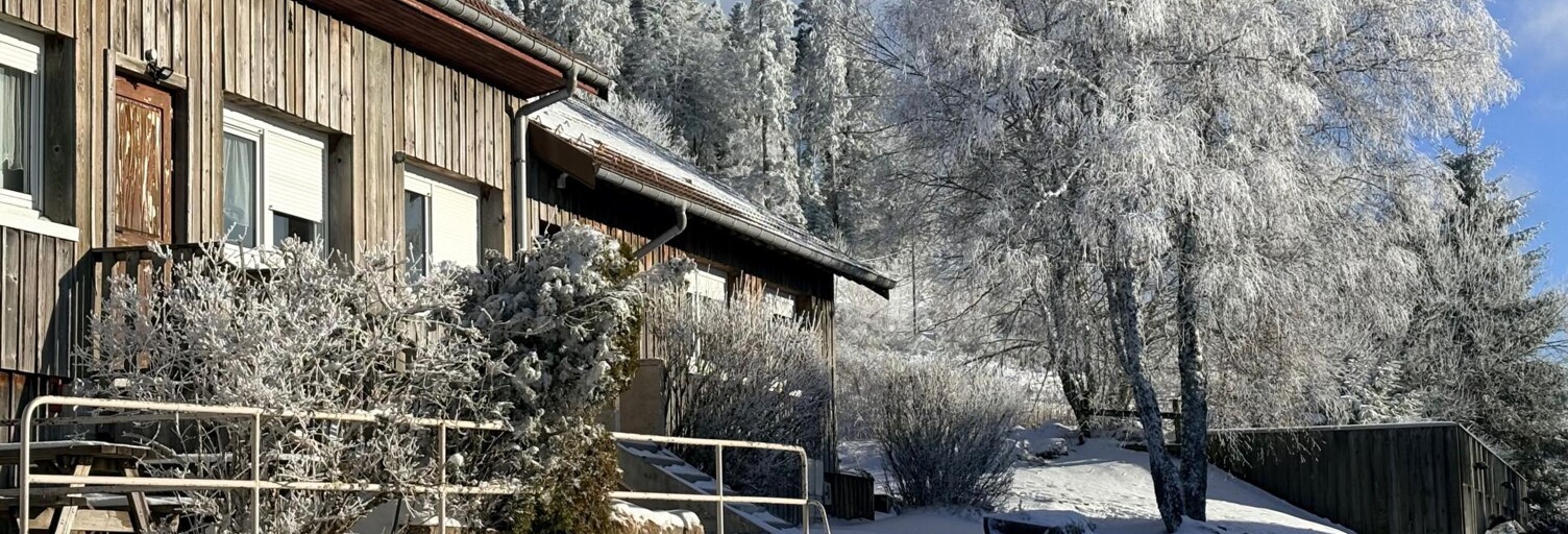 Immeuble  546 m² à vendre à Gérardmer (88400)