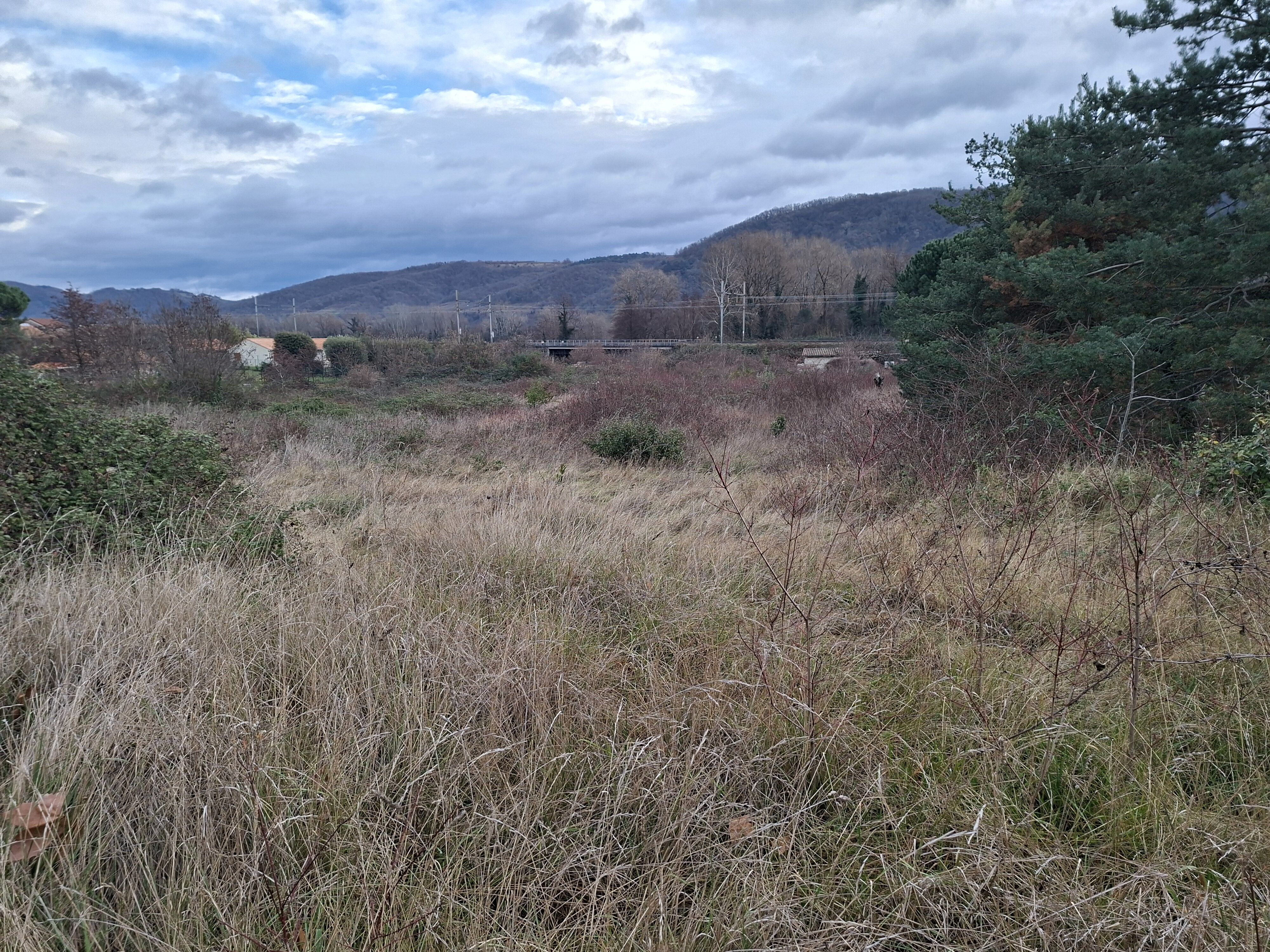 Agence immobilière de Mikit Lyon-Sud - Proprilogis