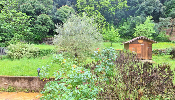 Villa / Maison 5 pièces  à louer Amélie-les-Bains-Palalda 66110