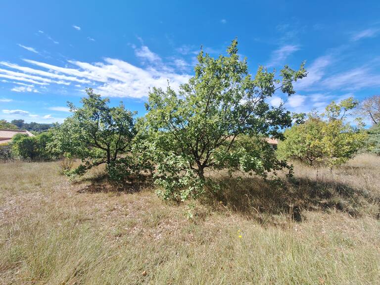Terrain à bâtir à Régusse  — photo 1