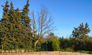 Terrain 455 m² à construire Monteux (84170)