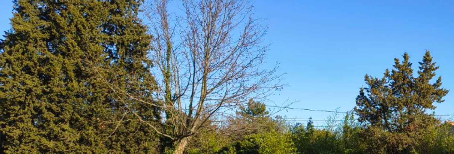 Terrain 455 m² à construire Monteux (84170)