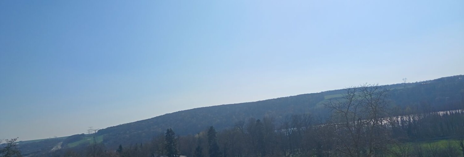 Maison 5 Pièces 118 m² à vendre à Richardménil (54630)