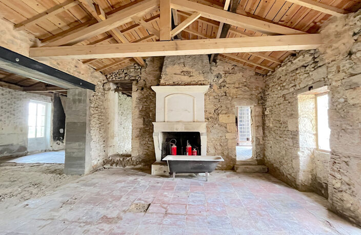 A VENDRE MAISON DE CARACTERE DE 350 M2 SUR 1950 M2 DE TERRAIN - SECTEUR BLAYE — photo 4