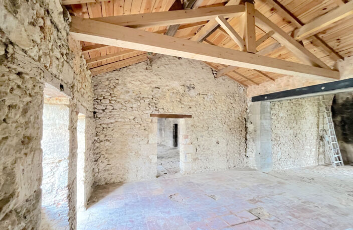 A VENDRE MAISON DE CARACTERE DE 350 M2 SUR 1950 M2 DE TERRAIN - SECTEUR BLAYE — photo 5