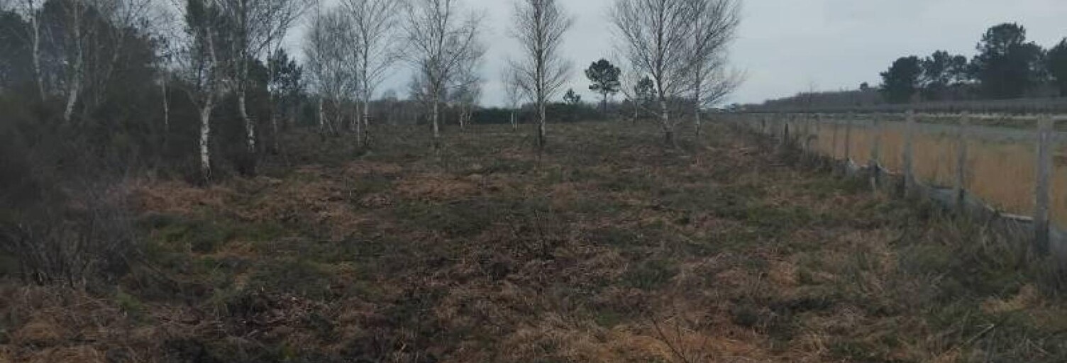 Terrain  8771 m² à vendre à Arsac (33460)