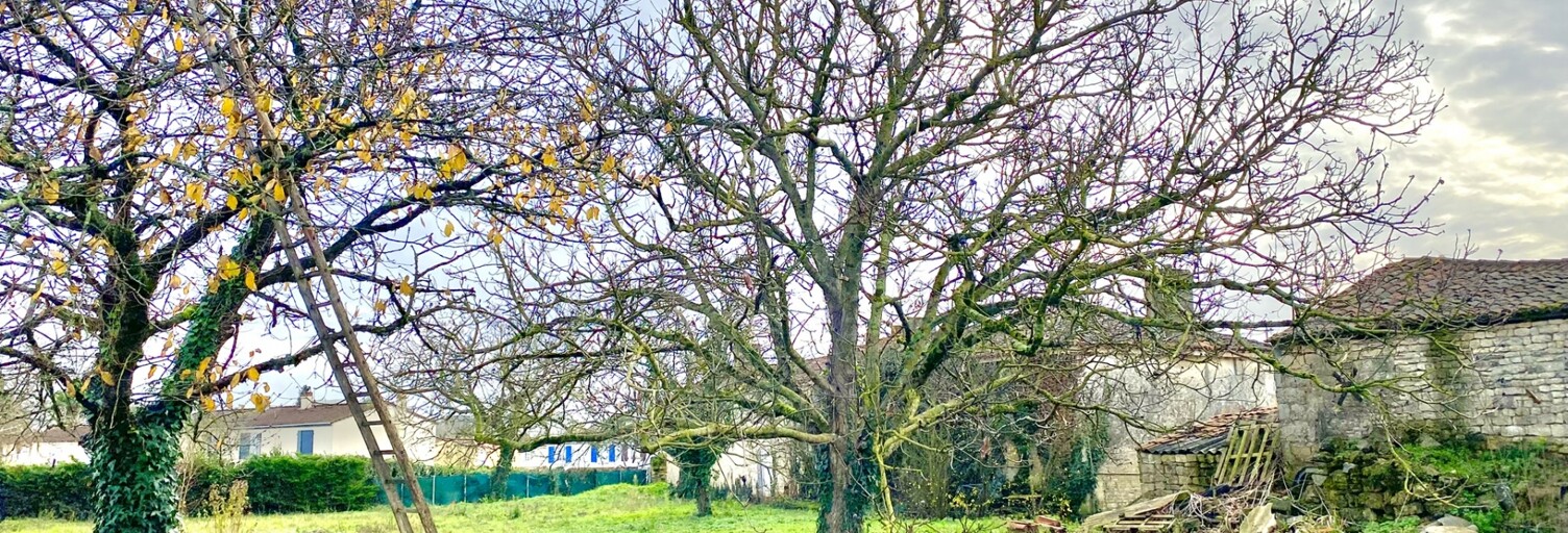 Terrain  1600 m² à vendre à Fontenay-le-Comte (85200)