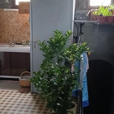 Maison 4 pièces 113000 €