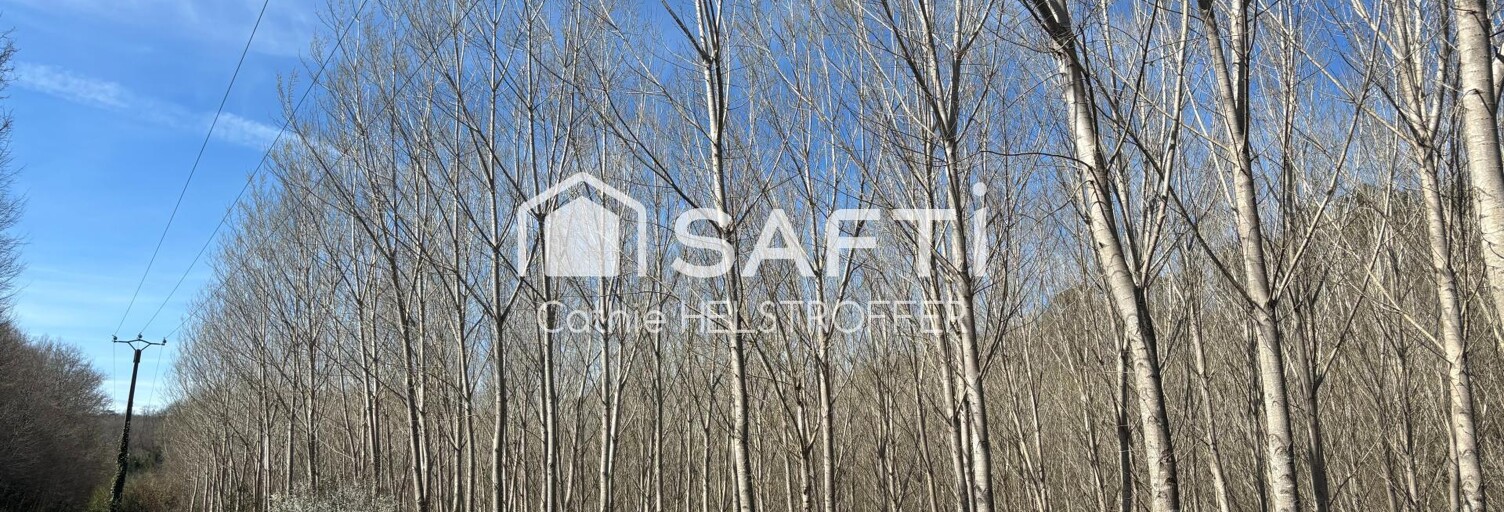 Terrain  31186 m² à vendre à Villefranche-du-Périgord (24550)