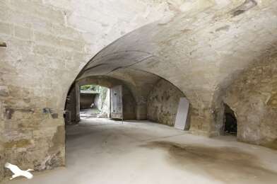 Maison 1 pièces 60000 €