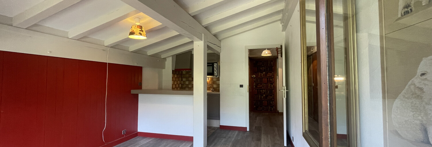 Appartement 1 Pièce 24 m² à vendre à Praz-sur-Arly (74120)