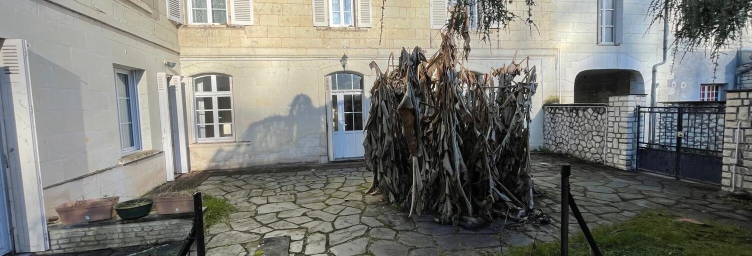 Maison 8 Pièces 226 m² à vendre à Rigny-Ussé (37420)