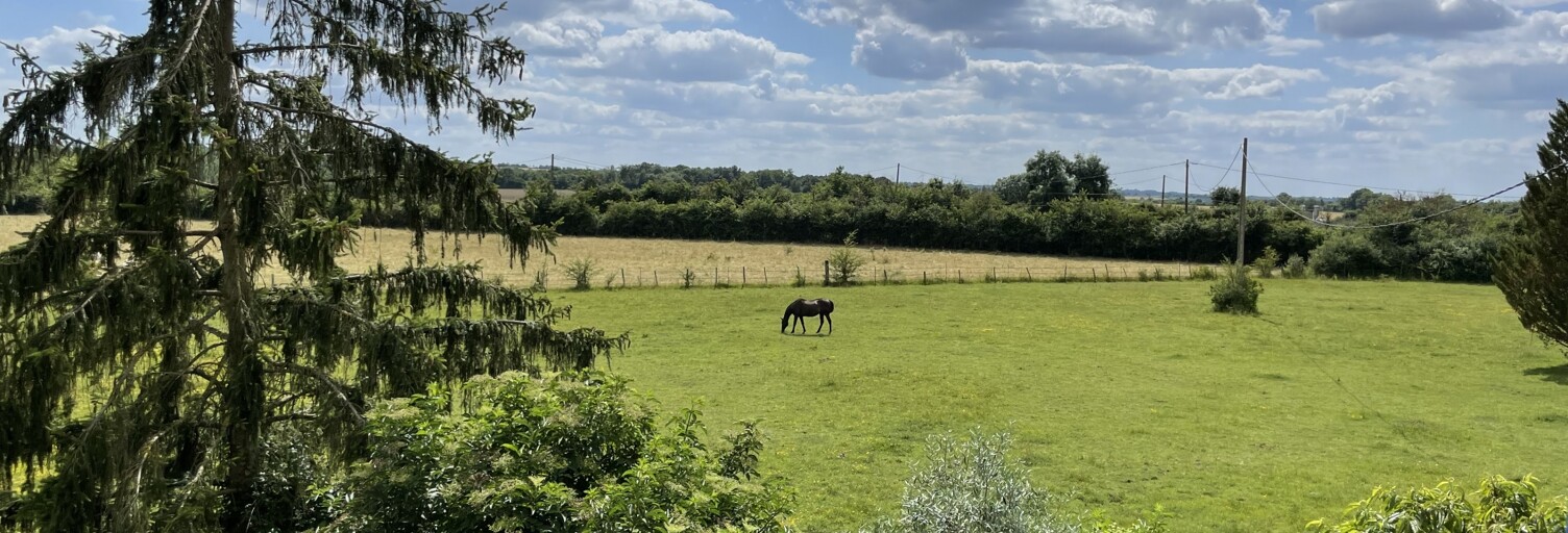Maison 7 Pièces 146 m² à vendre à Bougon (79800)