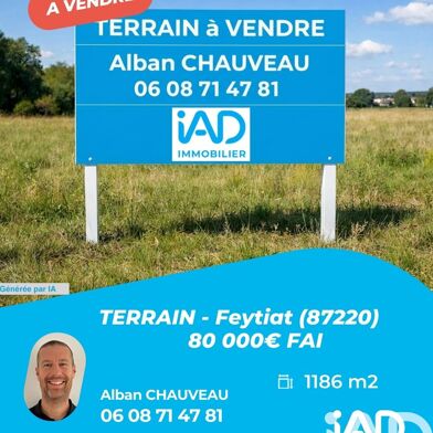 Terrain  80000 €