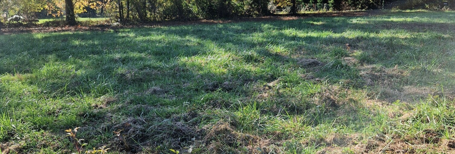 Terrain  1900 m² à vendre à Terrasson-Lavilledieu (24120)