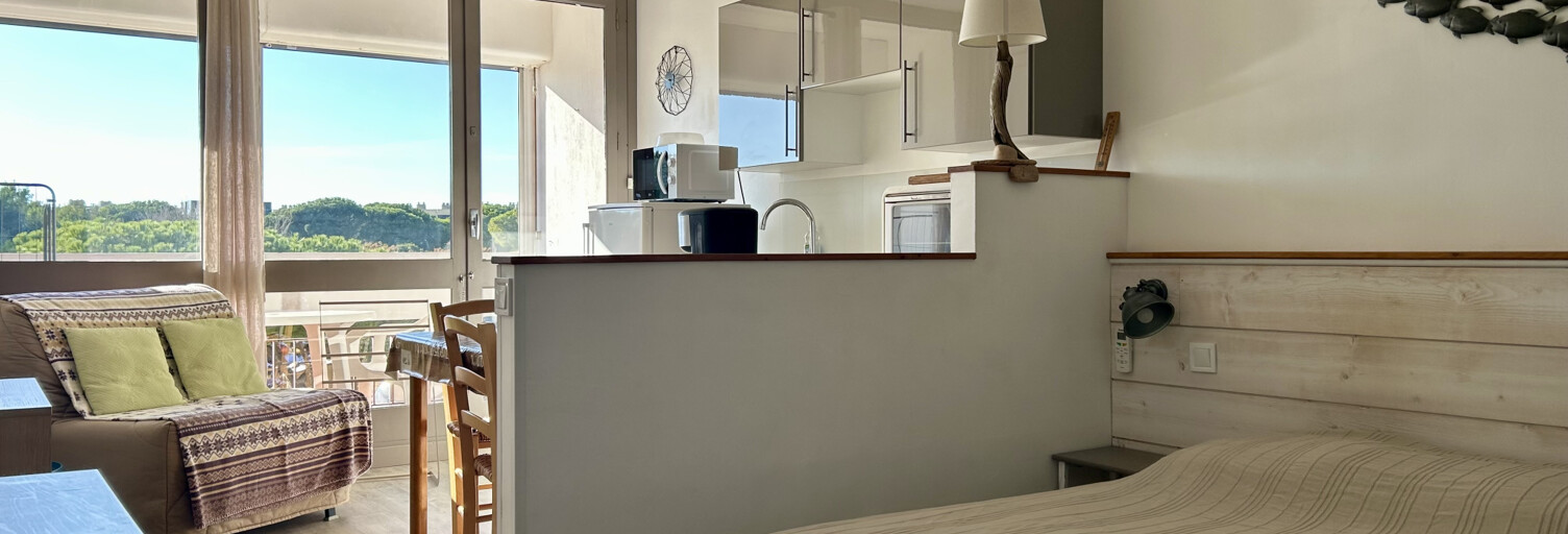 Appartement 1 Pièce 25 m² à vendre à Balaruc-les-Bains (34540)