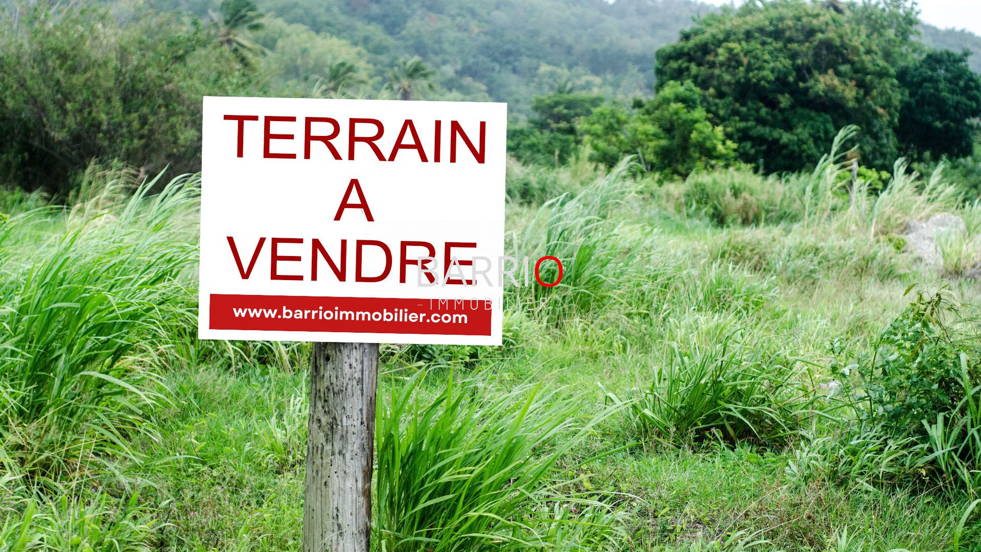 Terrain  à vendre Montesquieu-des-Albères 66740