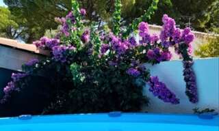 Maison 7 Pièces 175 m² à vendre à Juvignac (34990)