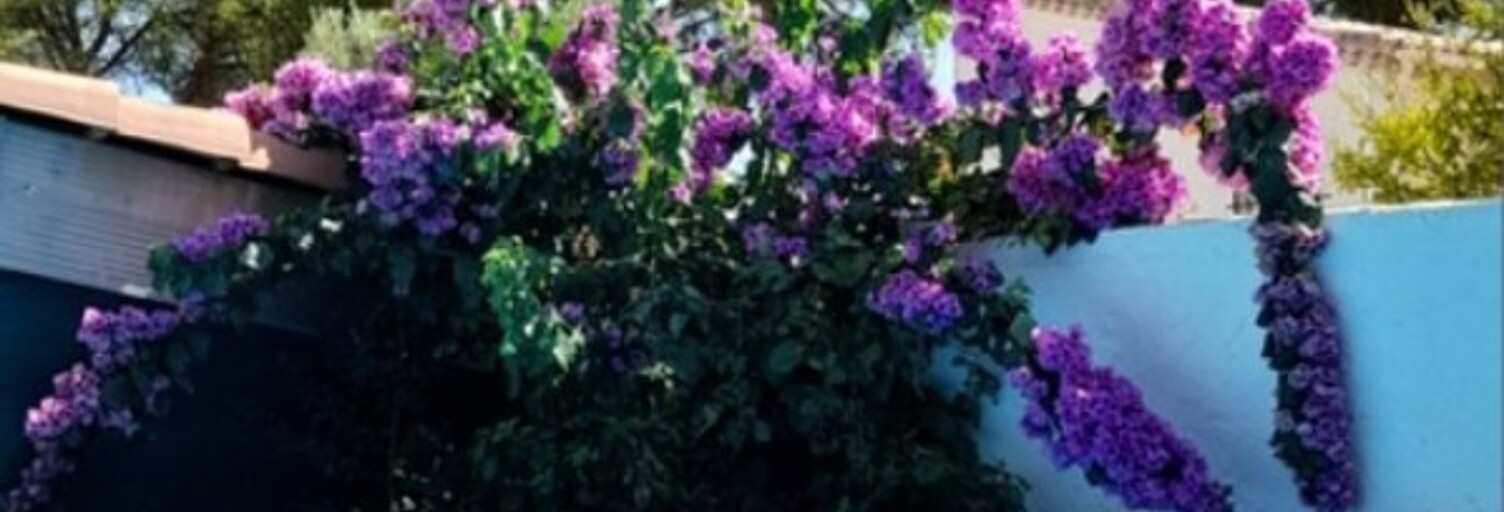 Maison 7 Pièces 175 m² à vendre à Juvignac (34990)