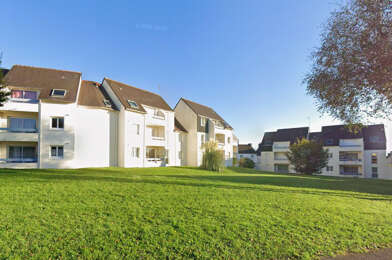 Appartement 3 pièces 481 €