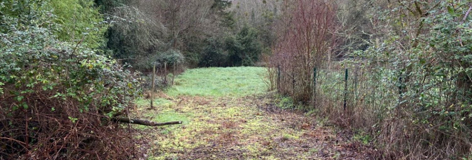 Terrain  1335 m² à vendre à Le Teich (33470)