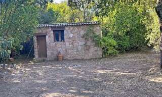 Terrain  1600 m² à vendre à Zonza (20144)